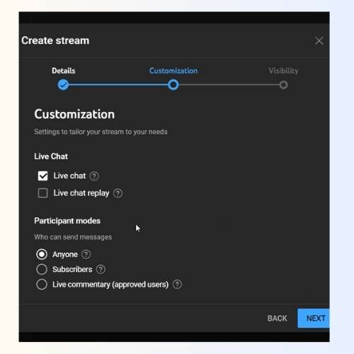 Step 5c - Customization details - Guide on How to Enable Live Streaming - Blog - VSWORLD