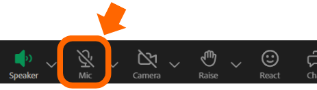 Enable Mic in AdobeConnect